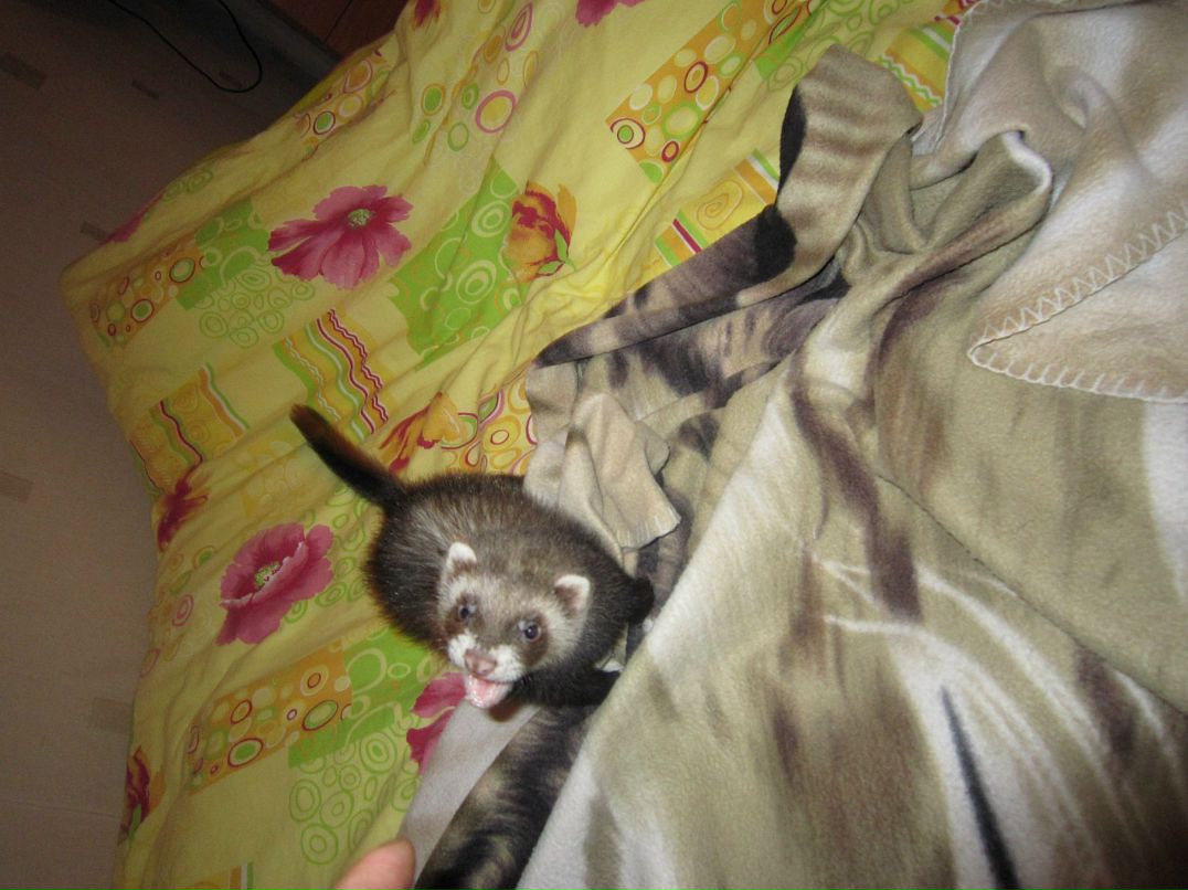 Sergey Serkov фотография #50