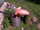 Фотография Землякова Виктора