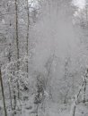 Максим Борис фотография #39 (источник - https://vk.com/id13718266)