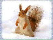 Ivan Ivan фотография #2 (источник - https://vk.com/id1365728)