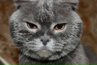 Фотография Ермолаева Алена