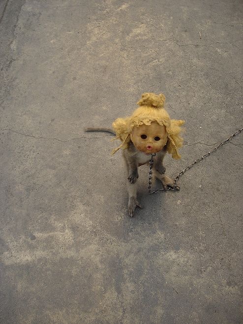 Дмитрий Никитин фотография #30