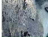 Владислав Матвеев фотография #15 (источник - https://vk.com/id19483890)