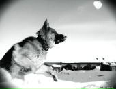 Фотография Garvey Marcus