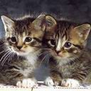 Фотография Лепешкин Вова