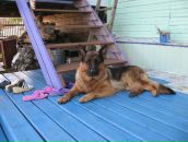 Фотография Князевой Настёны