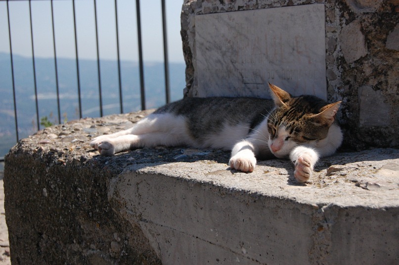 Антон Тищенко фотография #24