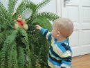 Юлія-Браукило Чуліпа фотография #9 (источник - https://vk.com/id71912633)