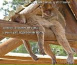 Тетяна Ігнатова фотография #47 (источник - https://vk.com/id73509291)