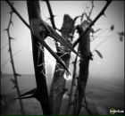 Юлічка Гайдук фотография #46 (источник - https://vk.com/id75530200)