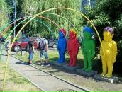 Фотография  