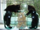Фотография Панкиной Ирины