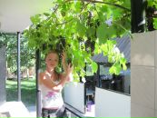 Фотография Хлебниковой Евгении