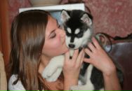 Фотография Барышниковой Александры