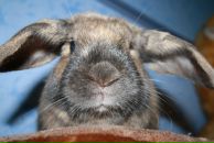 Фотография Колесниковой Евгении