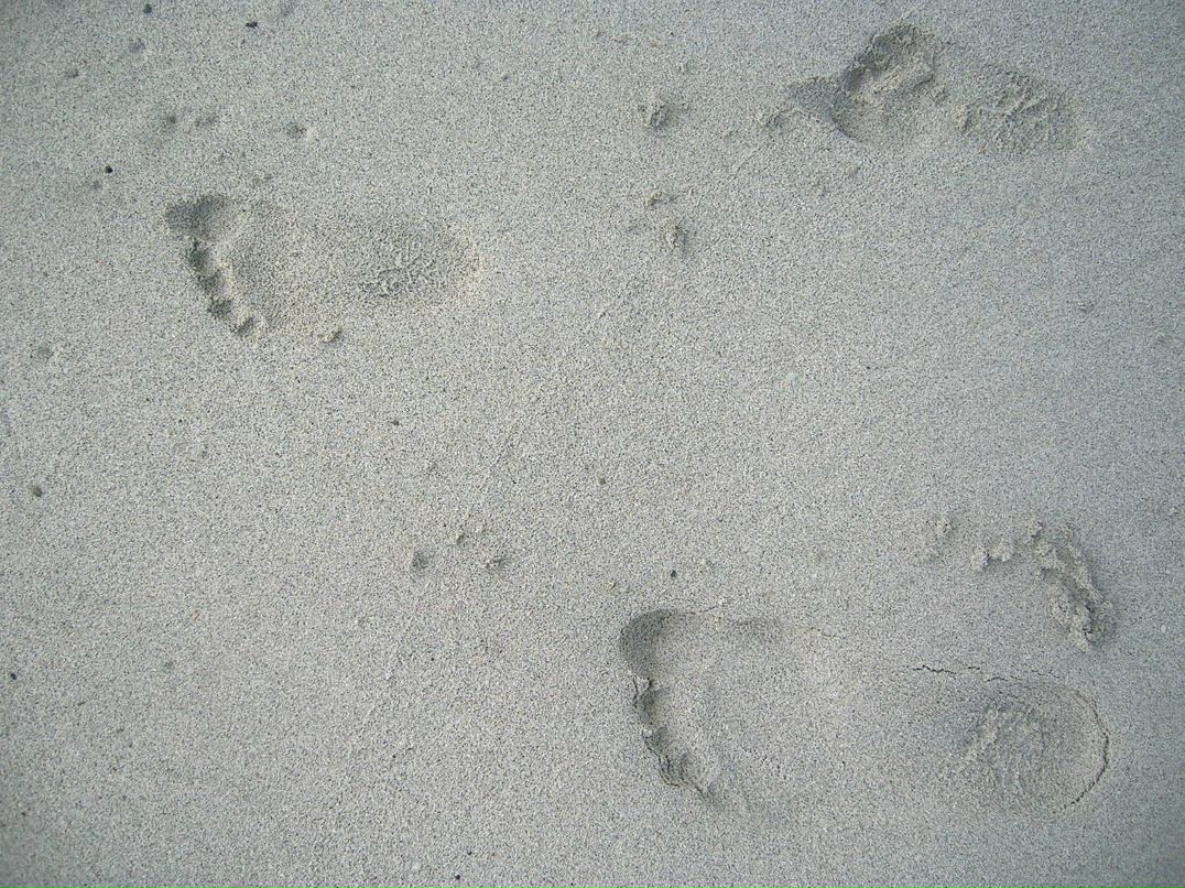 Александра Кохан фотография #6