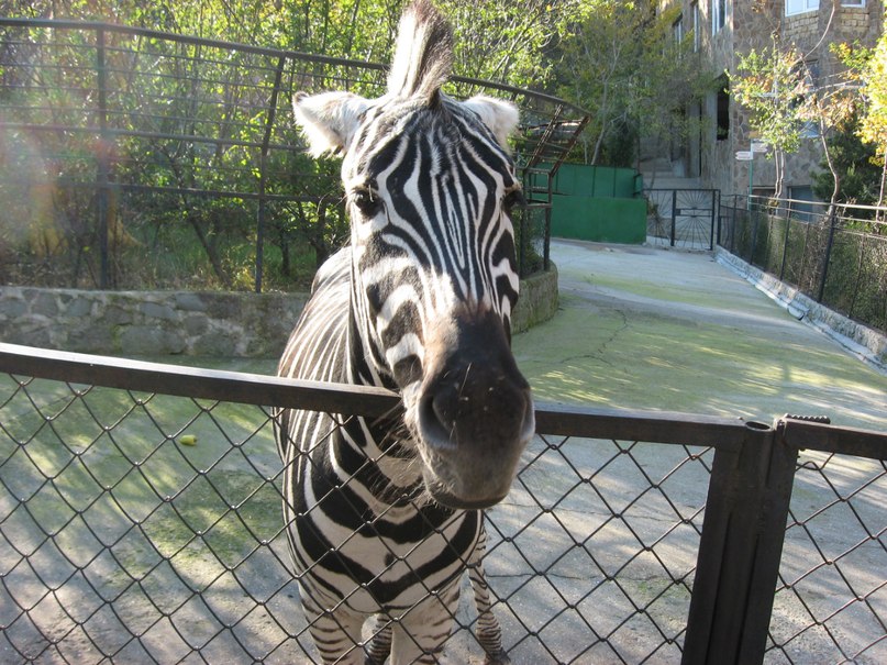 Коля Приходько фотография #19