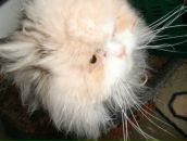 Stella Ostermann фотография #20 (источник - https://vk.com/id646987)