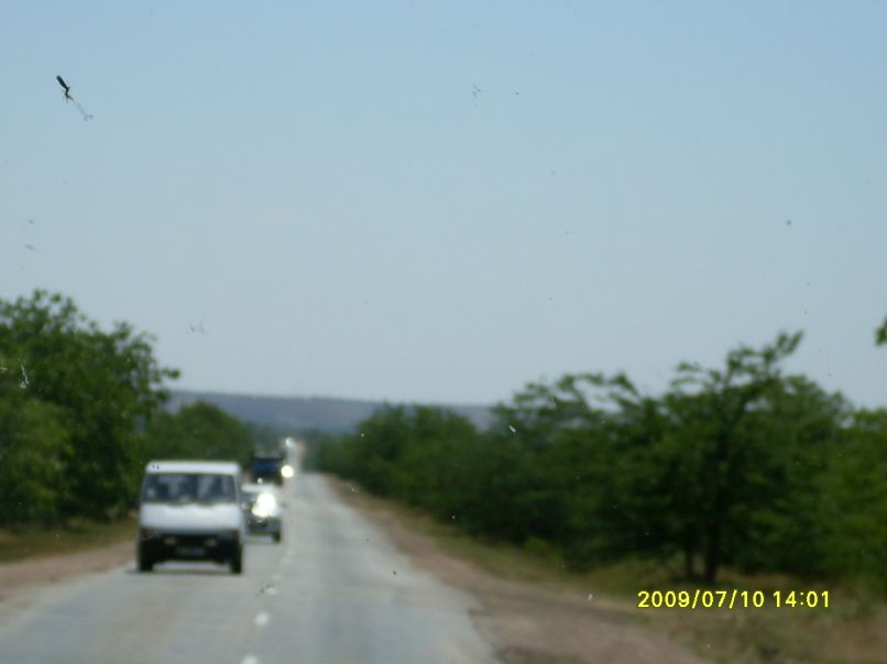 Вася Пяточник фотография #1