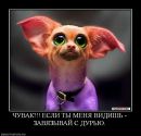 Фотография Юлия Клименко