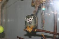 Николай Ткаченко фотография #23 (источник - https://vk.com/id3661321)