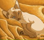 Фотография Оксененко Иван