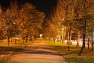 Виктор Иванов фотография #17 (источник - https://vk.com/id2597380)