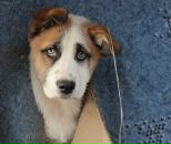 Фотография Демидюка Алексея