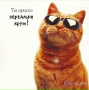 Фотография Дмитриевича Александра