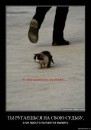 Ромиии Шех фотография #8 (источник - https://vk.com/id703762)