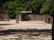 Віка Богатюк фотография #27 (источник - https://vk.com/id77462187)