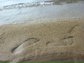 Фотография Бурлаковой Ольги