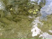 Иван Стефановић фотография #34 (источник - https://vk.com/id74217773)