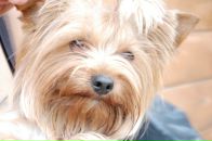 Фотография Поповича Димы