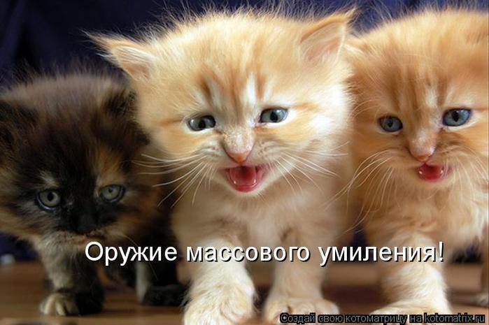 Роман Смирнов фотография #24