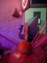 Фотография Скородумовой Екатерины