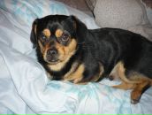 Фотография Багина Евгения