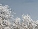 Ангеліна Капітула фотография #15 (источник - https://vk.com/id45473847)