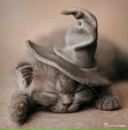 Фотография Гришиной Ольги