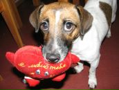 Фотография Кузнецова Дмитрия