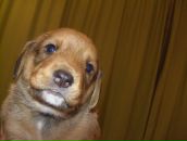 Фотография Голубовой Ульяны