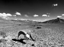 Антон Морозов фотография #13 (источник - https://vk.com/id239770)