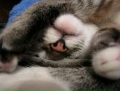 Фотография Рыбкиной Ольги