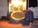 Вітя Пежот фотография #1