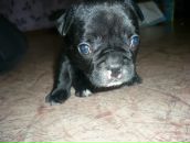 Фотография Пуртовой Леси