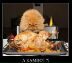 Фотография Остроносова Алексея