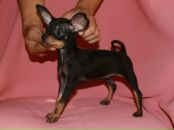 Фотография Доколина Сашки