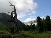 Фотография Соболевского Константина
