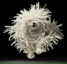 Фотография Копчёновой Натальи