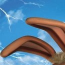 Дмитро Глинський фотография #50 (источник - https://vk.com/id71680343)